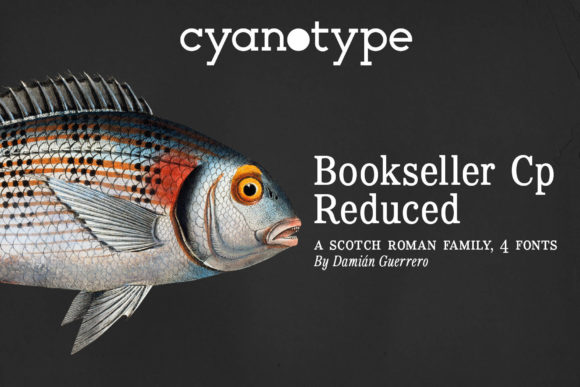 Bookseller Cp Reduced: A Serif Font with Character