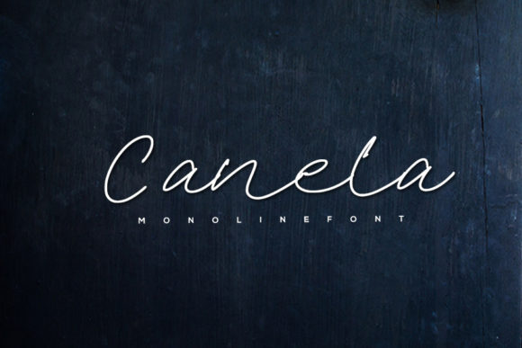 Canela: A Script Font That Elevates Web Design