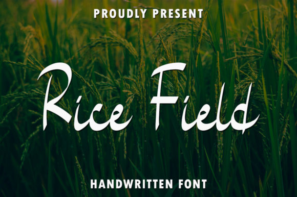 Rice Field