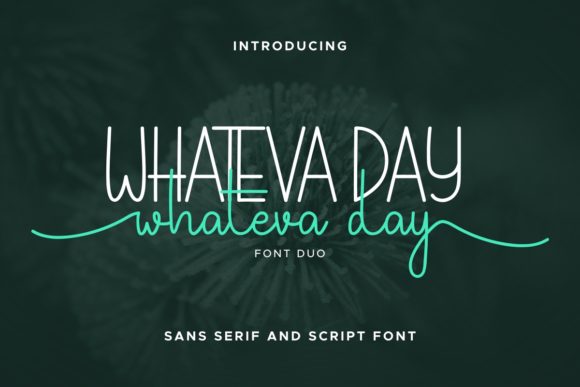 Whateva Day: A Font That Elevates Your Web Design