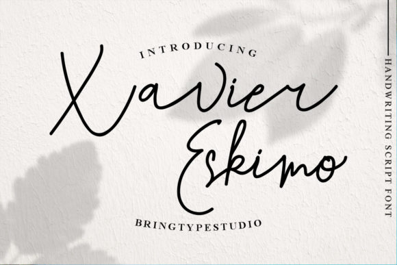 Xavier Eskimo: A Delicate Script Font for Branding